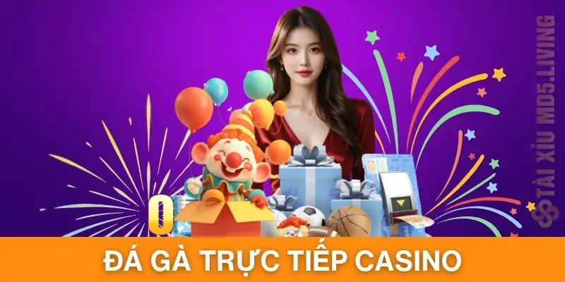 Đá Gà Trực Tiếp Casino - Gia Nhập Sòng Bạc Đẳng Cấp Quốc Tế