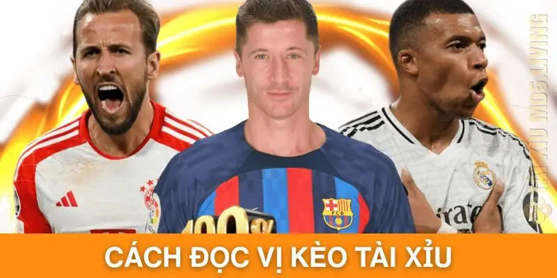 Đọc Vị Kèo Tài Xỉu Chuẩn Xác Cho Phép Người Chơi Làm Giàu