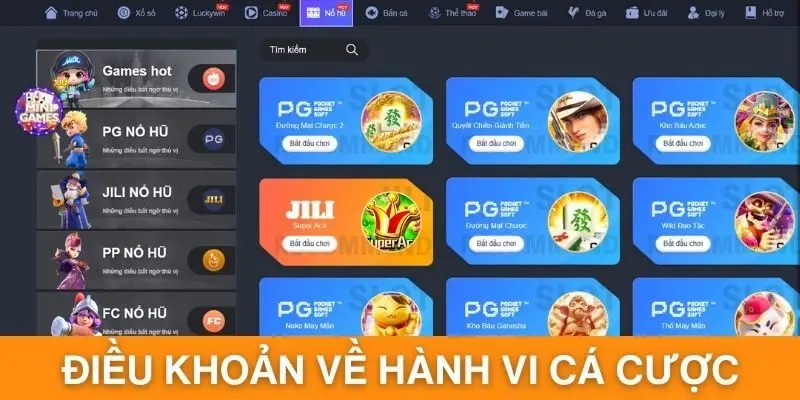Tuân thủ điều khoản về hành vi cá cược