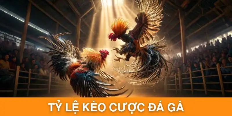 Tỷ lệ thường gặp trong đá gà trực tuyến đang được chào đón